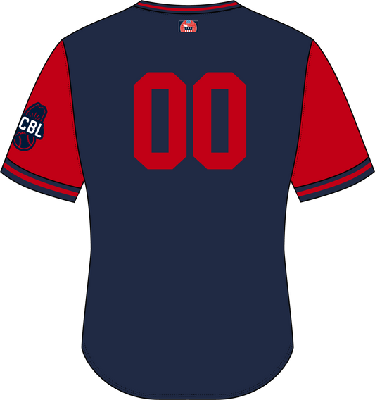 Classic V-Neck Puffins Game Jersey